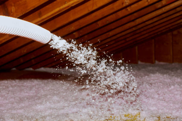 Best Insulation Materials and Products in La Vale, MD