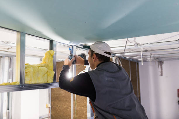 Types of Insulation We Offer in MD