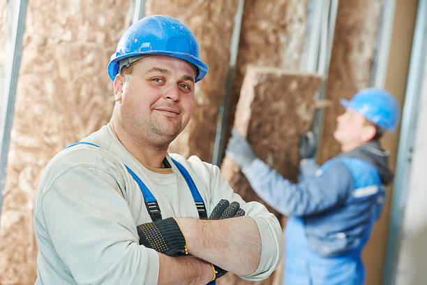 Best Specialty Insulation in La Vale, MD
